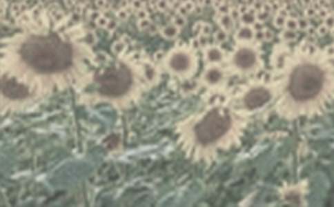 ���г�������800�֣�̫ꖻ�