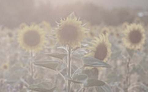 �^��̫ꖻ�С�W(xu��)����