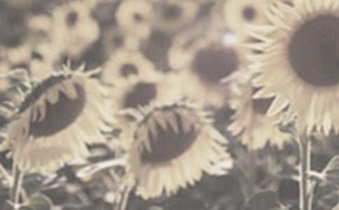 �^��̫�(y��ng)������3ƪ