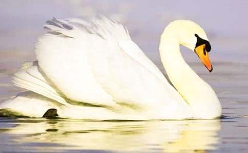 �����Z�Ĺ��¡���1�n�r(sh��)�̌W(xu��)�O(sh��)Ӌ(j��)