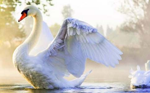 ���g(sh��)���Z�̰�