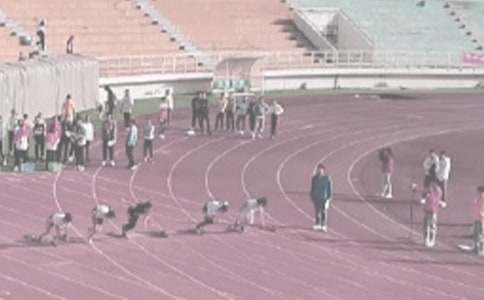 �鱱������\ِ���Ȳ�����500��