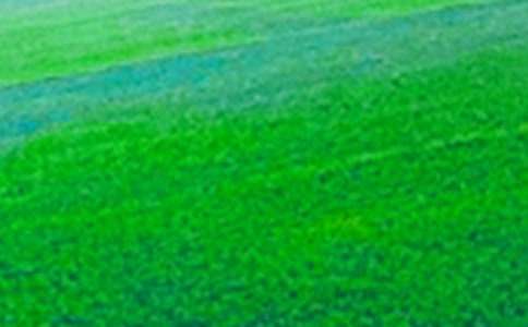 �P(gu��n)����Ұ���İ�ƪ