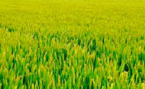 ����Ұ���ن����̌W(xu��)�O(sh��)Ӌ(j��)5ƪ