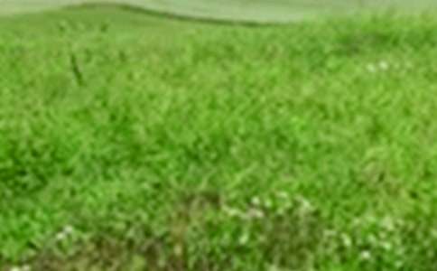 ϣ������Ұ�Ͻ̰����x