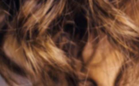 ��һ�ӵ��^�l(f��)���̰�