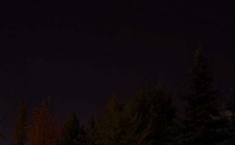 �������Լ��f����_650��