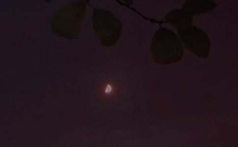 常用晚安正能量語(yǔ)錄朋友圈合集74句