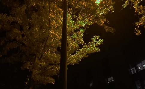 ���εĜ�ů���������Z�Z�27��