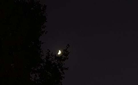 ���������Z