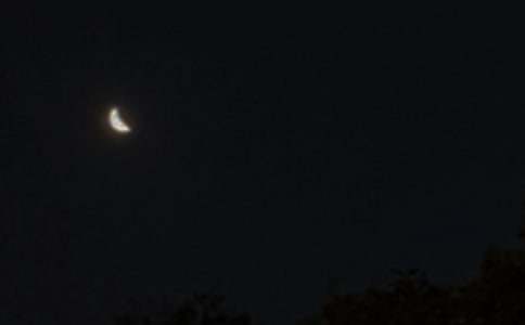 2017��ܰ����������ף���Z