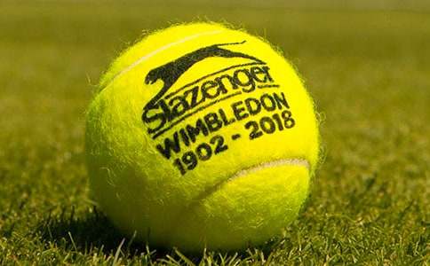 我的網(wǎng)球理想小學作文