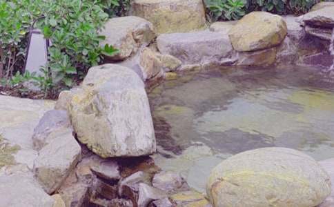 溫泉游作文600字(通用32篇)