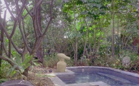 溫泉仙境_小學(xué)作文