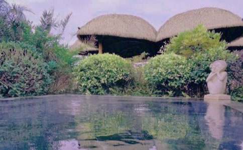 �����Ȫһ��������