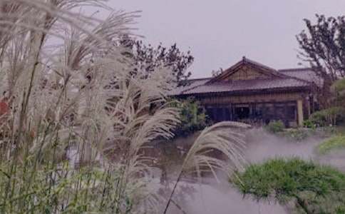 ��һ���ݜ�Ȫ���ģ����x51ƪ��