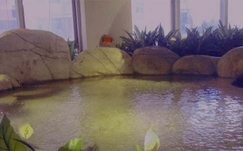 �����x����Ȫ����500��15ƪ