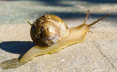 ��С΁�����̌W(xu��)�O(sh��)Ӌ(j��)�����x15ƪ��