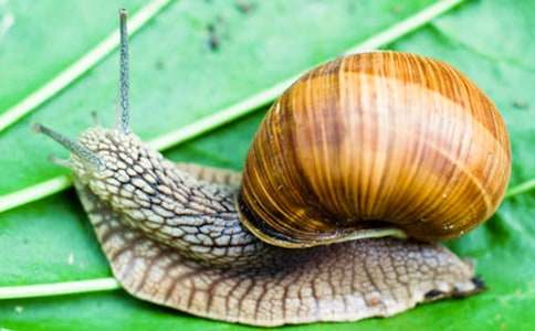 �а�С΁ţ�̰��O(sh��)Ӌ