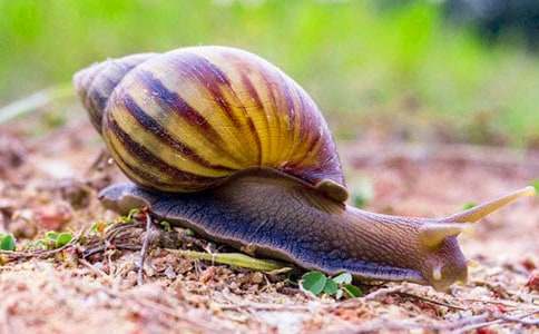 ��΁�����̰�