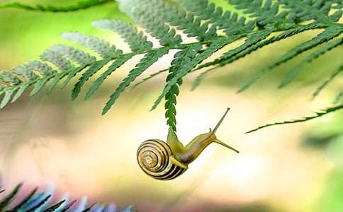 �^��΁ţ�����ķ���-�������ķ���