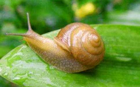 �^��΁ţ����