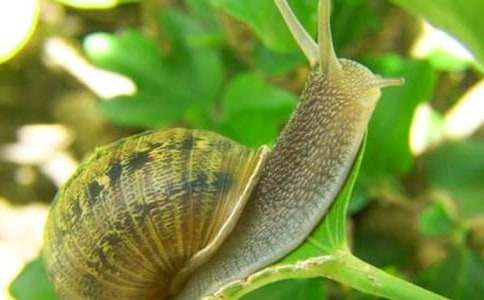 �P(gu��n)��΁ţ����500��29ƪ