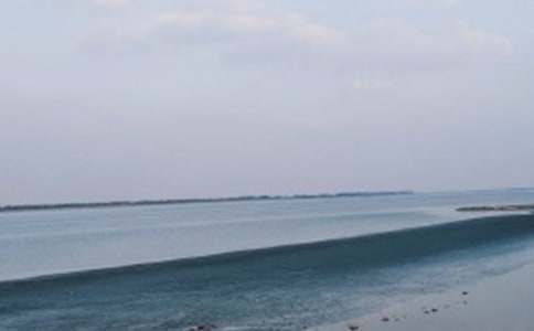 城南舊事之我們看海去讀書筆記(通用17篇)