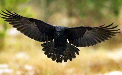 �����f��ˮ���̌W(xu��)�O(sh��)Ӌ(j��)�����x17ƪ��