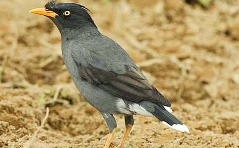 �����f��ˮ���̲����⼰�̰��O(sh��)Ӌ