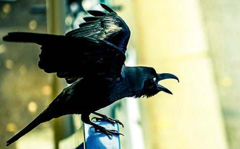 �����f��ˮ���̌W(xu��)�O(sh��)Ӌ(j��)