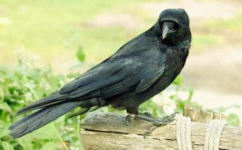 ��С���f�ۋ������̰��O(sh��)Ӌ�c��(g��u)�루ͨ��21ƪ��