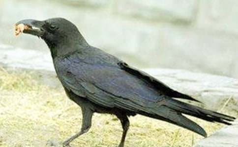 ���f��ˮ��С�W�̰�