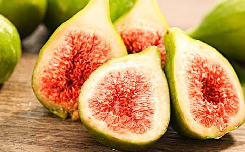 無花果樹的作文