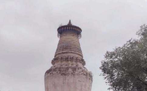 ���������_(t��i)ɽ���ģ����x20ƪ��