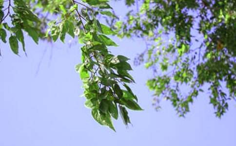 2020年溫馨的午安心語(yǔ)QQ匯編64句