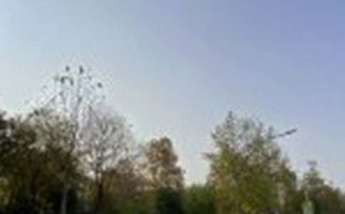 溫馨的午安QQ問候語29條