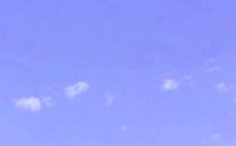 午安心語(yǔ)QQ集錦42條