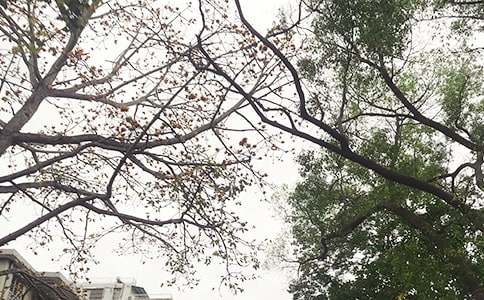 2021���ů���簲���ZQQժ�44�l