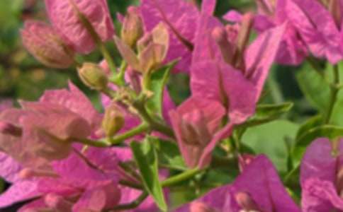 ů���簲�����Z�����x40�䣩