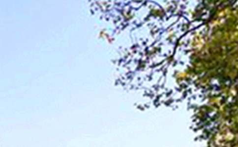 ��ů���簲���ZQQ�R��59��