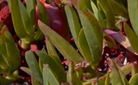 ����ϵ�簲���ZQQ����62��