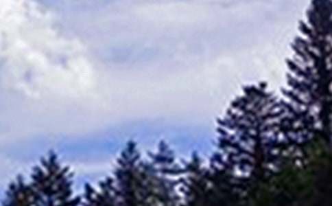 ��ܰ���簲���ZQQ75��