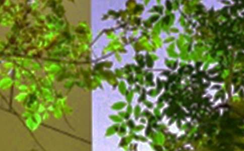 Ψ�����簲���Z(y��)΢��46��