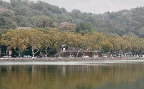 ��������,������������