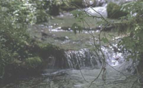 СϪ������������(9ƪ)