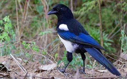 ��(xi��)ϲ�o���ε�����	