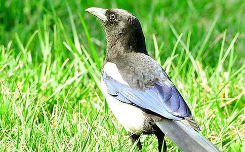 �P(gu��n)��ϲ�oͯԒ(hu��)���ąR��8ƪ