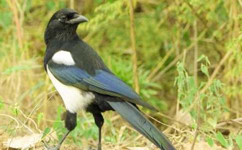 �P��ϲ�oͯԒ���ąR��10ƪ