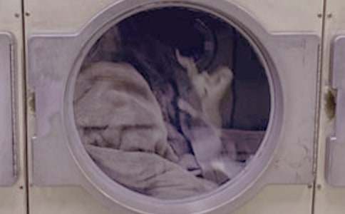 ϴ�C(j��)�Ąڼ��n�̰�